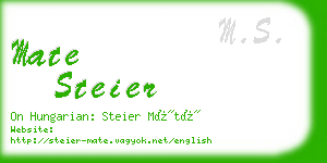 mate steier business card